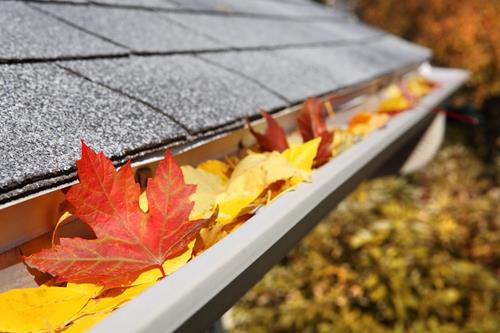 Why Not Property Services | Delta, BC V4K 2W6, Canada | Phone: (604) 365-5460