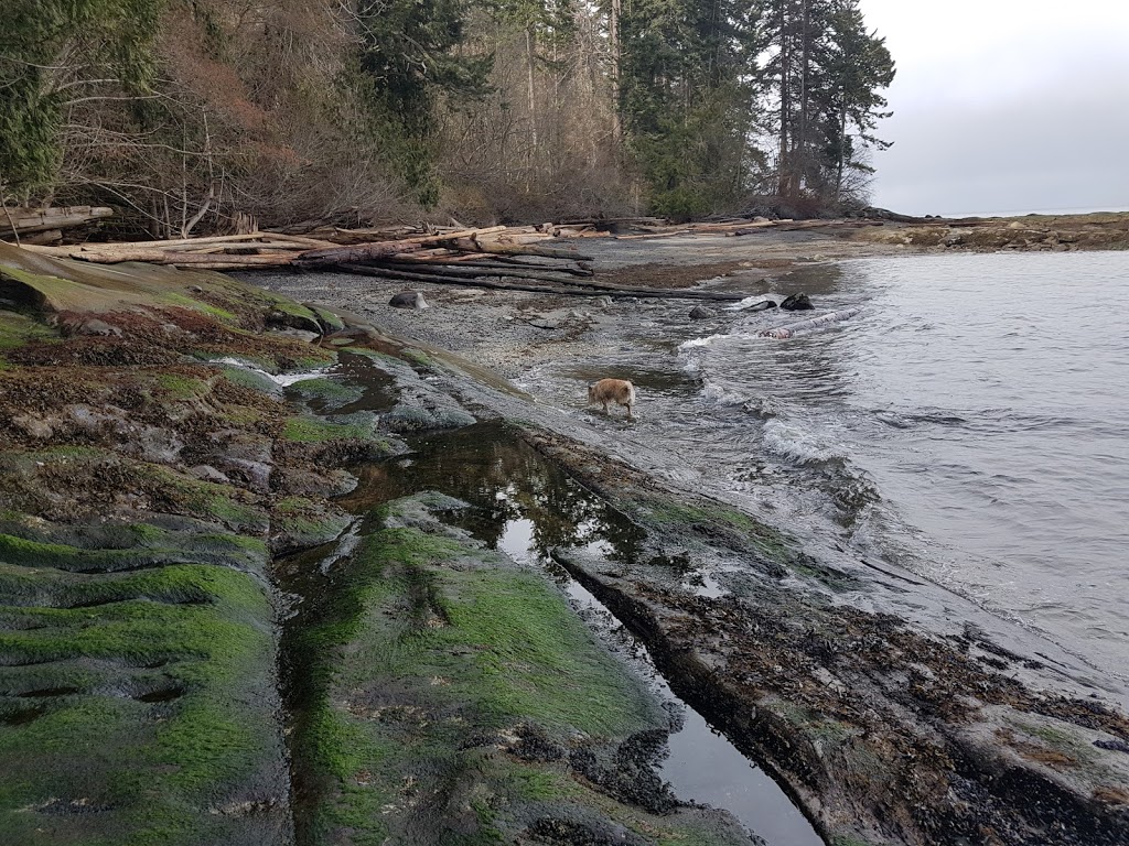 Cable Bay | Southern Gulf Islands, BC, Canada