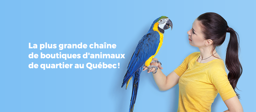 Boutique danimaux Chico Notre-Dame-des-Prairies (Joliette) | 364 Boulevard Antonio-Barrette, Notre-Dame-des-Prairies, QC J6E 1G3, Canada | Phone: (450) 755-4433