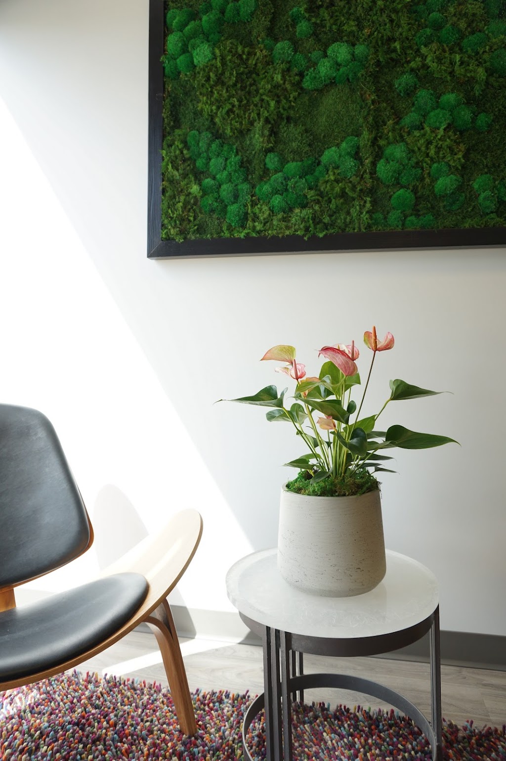 Greenjeans Interiorscape | 3514 78 Ave NW, Edmonton, AB T6B 2X9, Canada | Phone: (780) 490-0455