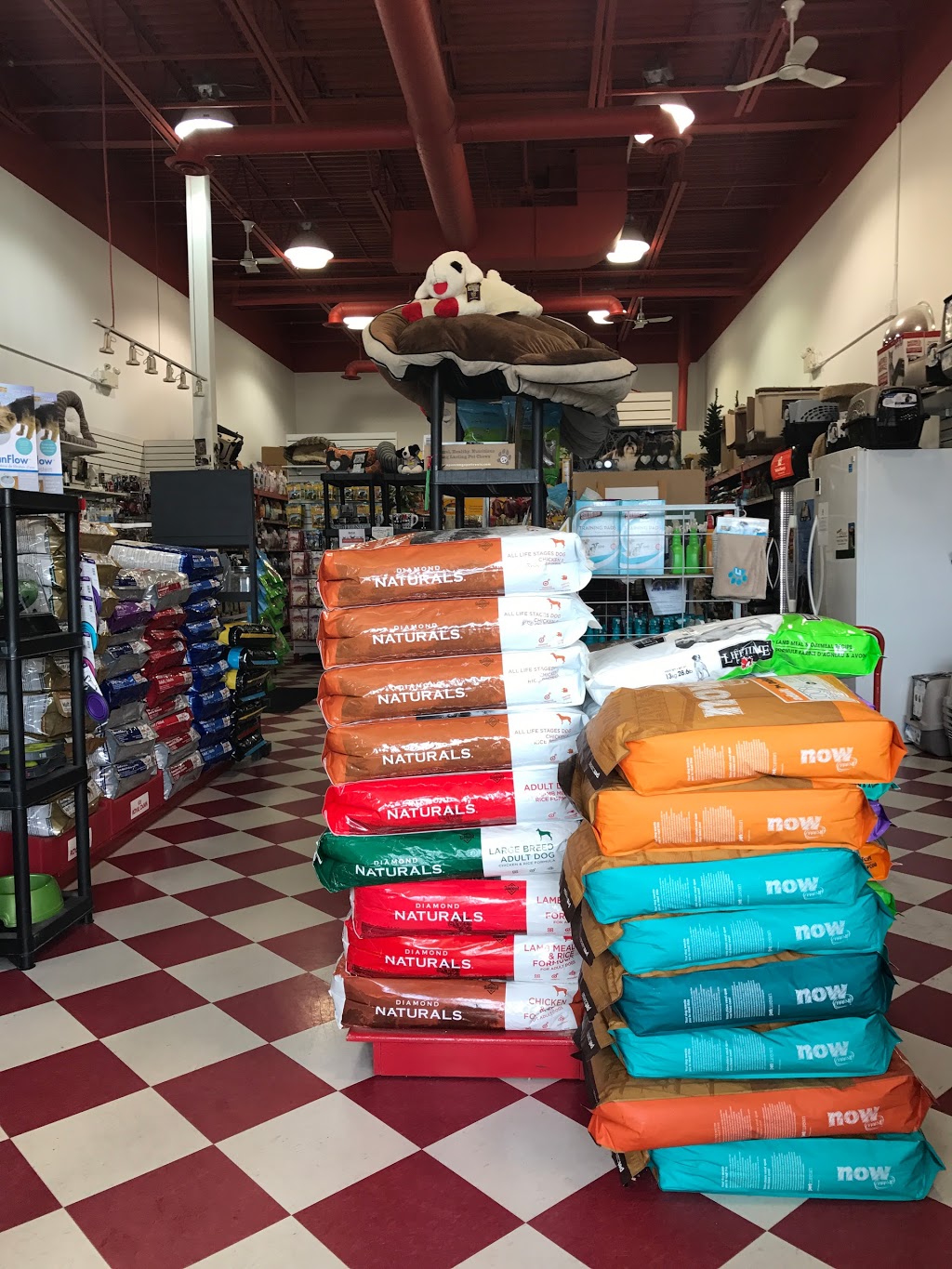 Global Pet Foods | Grange, 19 Victoria Rd N, Guelph, ON N1E 5G6, Canada | Phone: (519) 822-6922