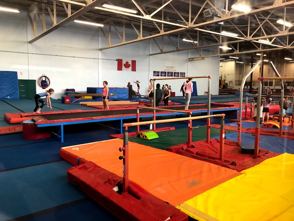 Gyros Gymnastics | 73 Samor Rd, North York, ON M6A 1J2, Canada | Phone: (416) 614-0521