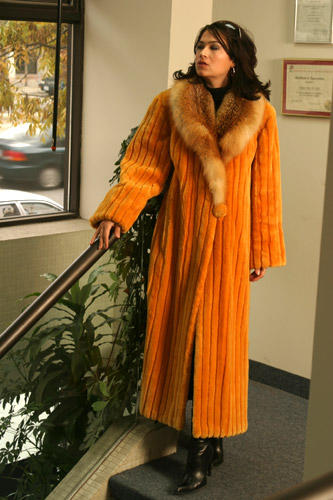 Yukon Fur Co Limited | 1667 Dundas St W, Toronto, ON M6K 1V2, Canada | Phone: (416) 598-3501