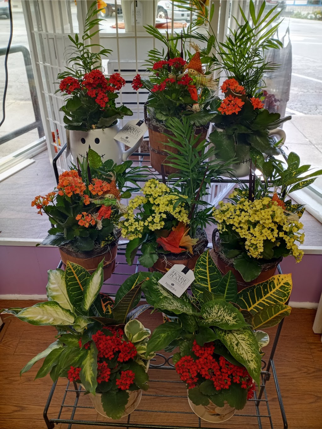 Ilan Treasures | 6 Beckwith St S, Smiths Falls, ON K7A 2A8, Canada | Phone: (613) 284-7701