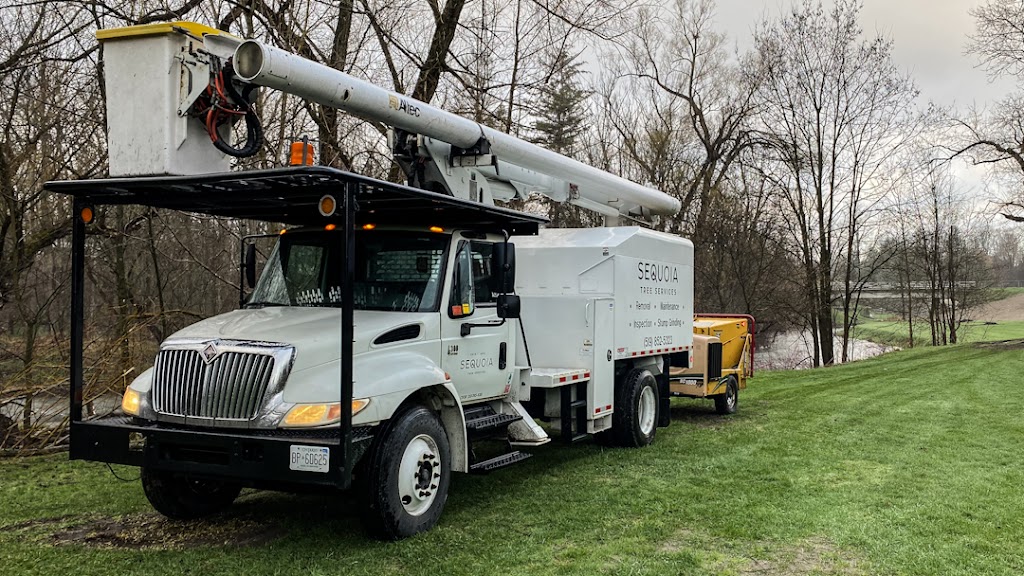 Sequoia Tree Services | 14719 Bayham Dr, Tillsonburg, ON N4G 4G8, Canada | Phone: (519) 852-5323