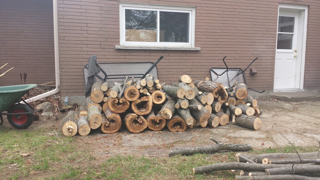 Greely Tree Services | 7022 Donwel Dr, Greely, ON K4P 1B9, Canada | Phone: (613) 574-0247