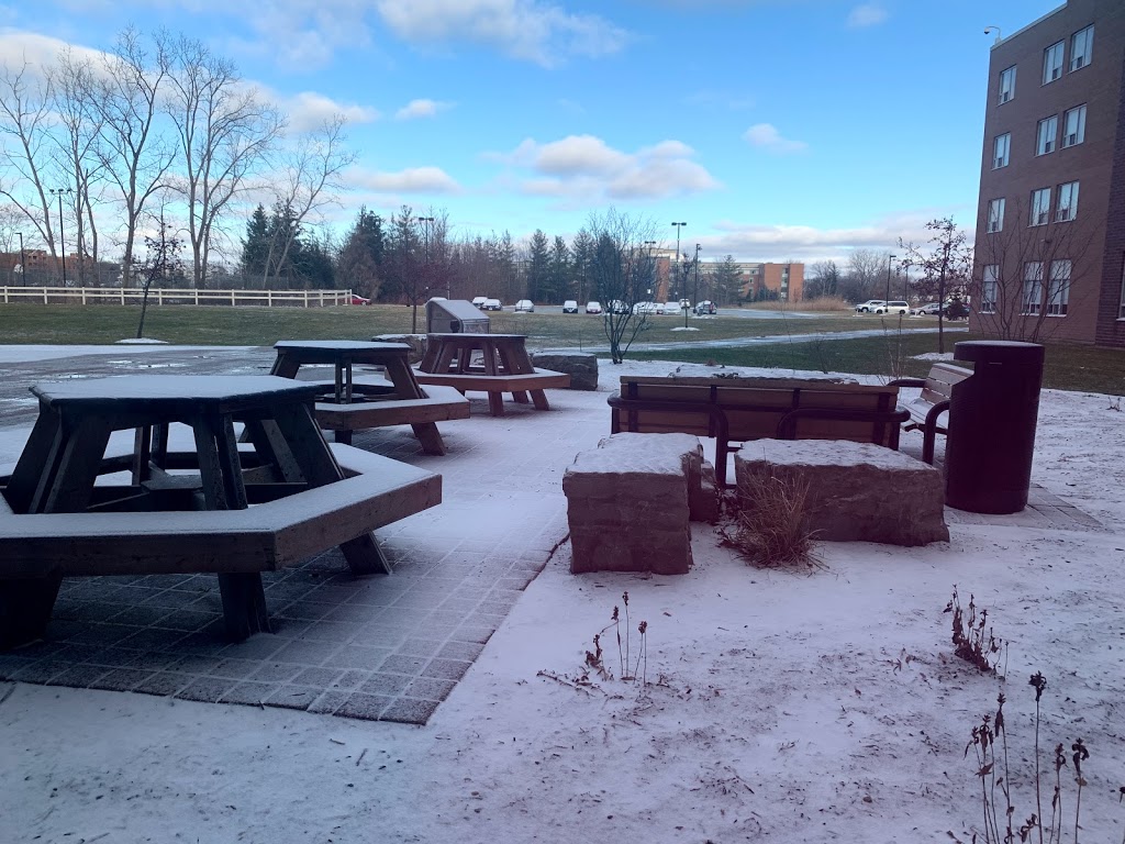 St. Clair College Student Residence - Windsor Campus | 3995 Geraedts Dr, Windsor, ON N9G 3C3, Canada | Phone: (519) 966-1601