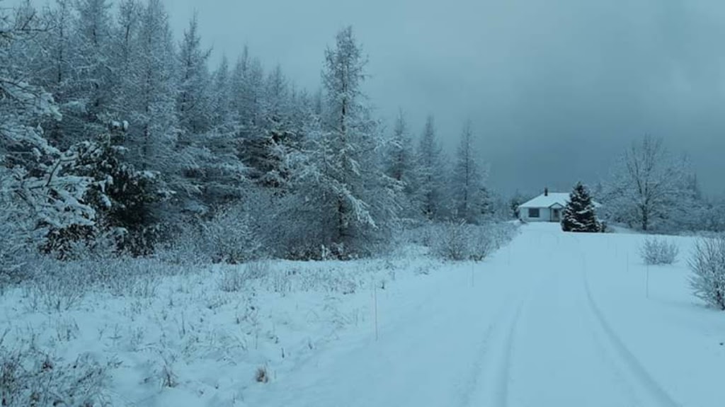 THREE ROCKS FARM, NS | NS-208, New Germany, NS B0R 1E0, Canada | Phone: (902) 521-0423