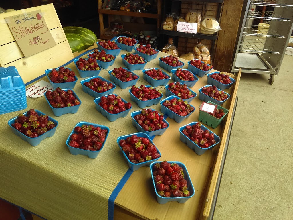 Cassidy Farm Market & Deli | 3251 Island Hwy, Cassidy, BC V0R 1H0, Canada | Phone: (250) 245-7674