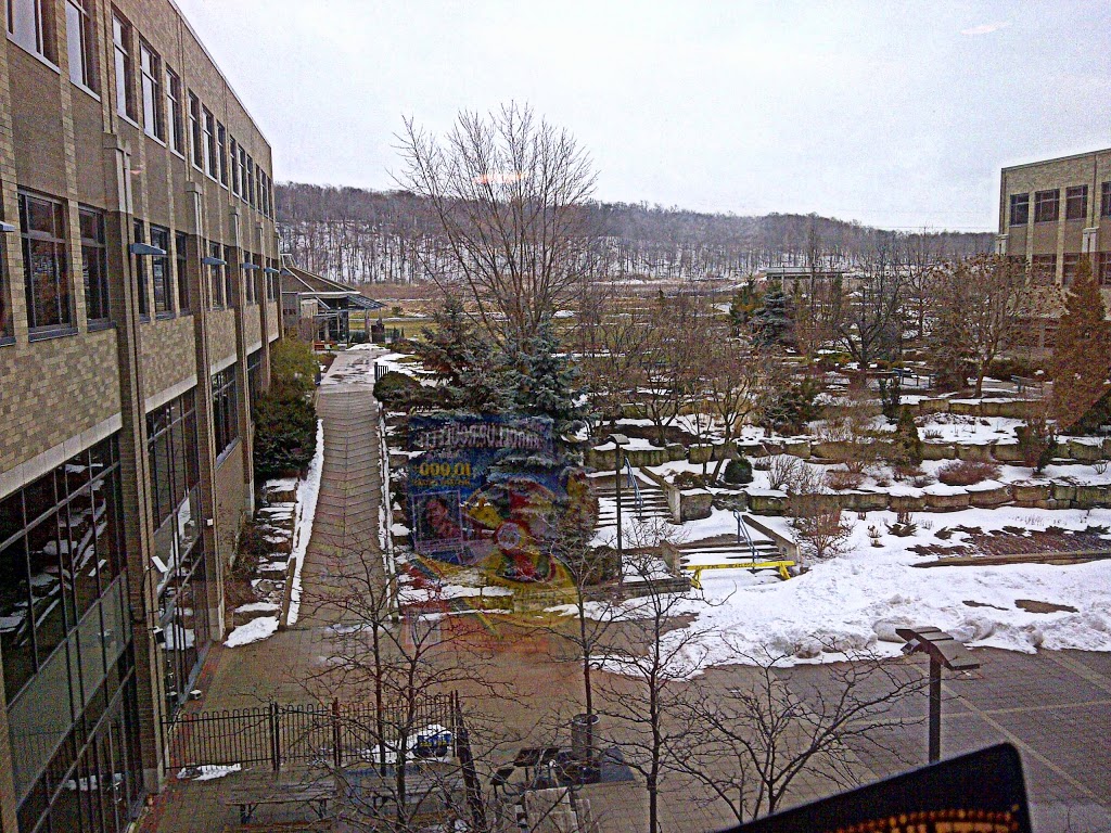 Niagara College | 135 Taylor Rd, Niagara-on-the-Lake, ON L0S 1J0, Canada | Phone: (905) 641-2252
