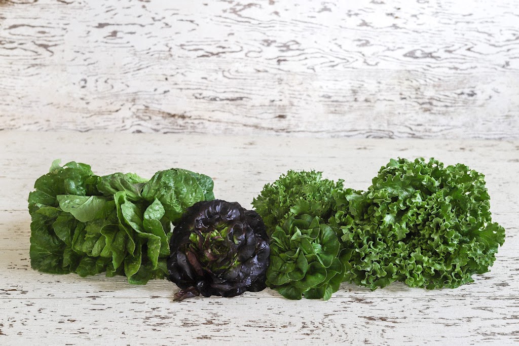 Lockwood Farms | 3805 Cobble Hill Rd, Cobble Hill, BC V0R 1L5, Canada | Phone: (250) 710-4769