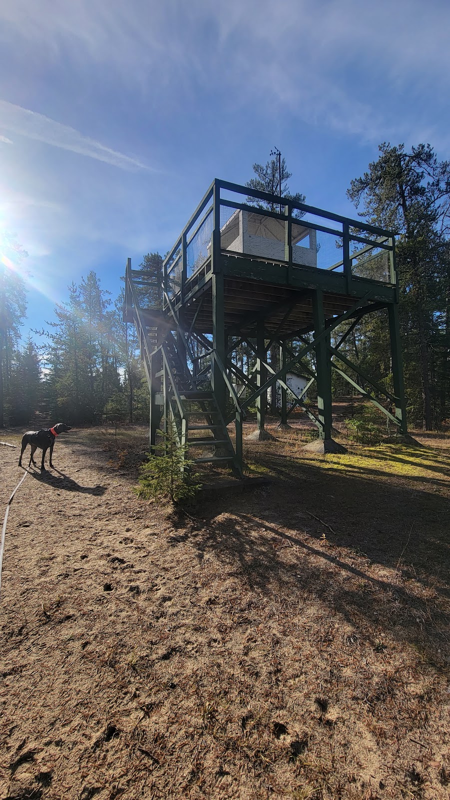 Sandilands Forest Discovery Centre | 67094 Road 68E, Hadashville, MB R0E 0X0, Canada | Phone: (204) 453-3182