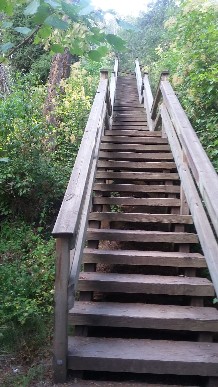 Fintry Provincial Park and Protected Area | Fintry Delta Rd, Vernon, BC, Canada | Phone: (250) 542-4031
