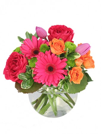 House of Bloom | 250 Josephine St, Wingham, ON N0G 2W0, Canada | Phone: (226) 422-4200