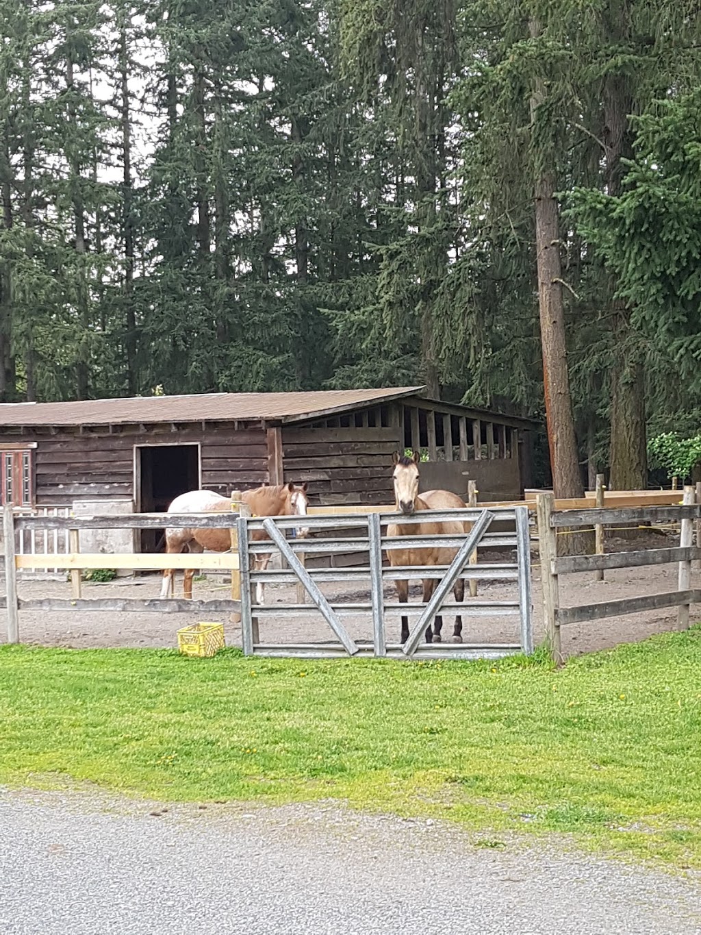 Mystic Waters Ranch | 19459 0 Ave, Surrey, BC V3Z 9R9, Canada | Phone: (604) 788-7524