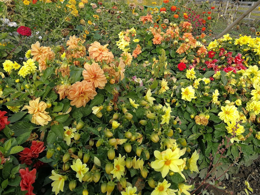 The Herb Patch | 1850 Brentwood Rd, Kelowna, BC V1P 1H2, Canada