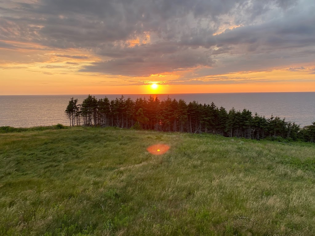Woodroad Restaurant: A Cape Breton Dining Experience | 2815 Shore Rd, Margaree Harbour, NS B0E 1N0, Canada | Phone: (902) 235-2912