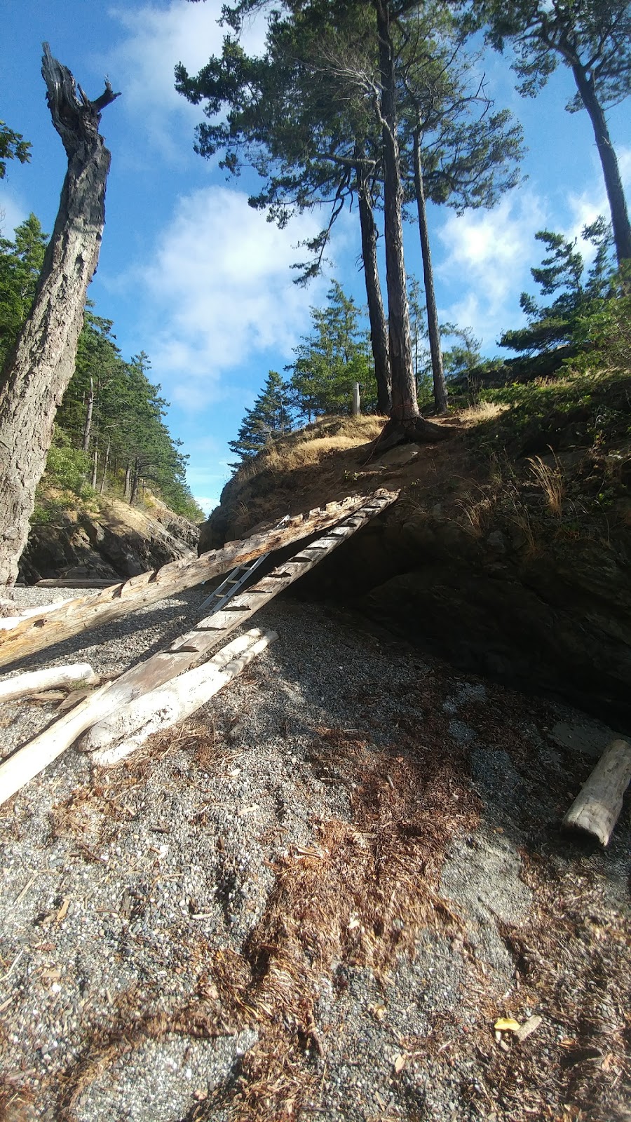 Lummi Island Campground | Lummi Island, WA 98262, USA
