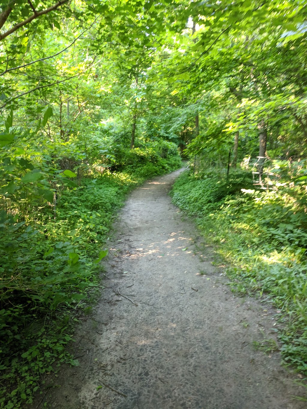 Whiteoaks Park | Mississauga, ON L5J 1Z2, Canada | Phone: (905) 615-4311