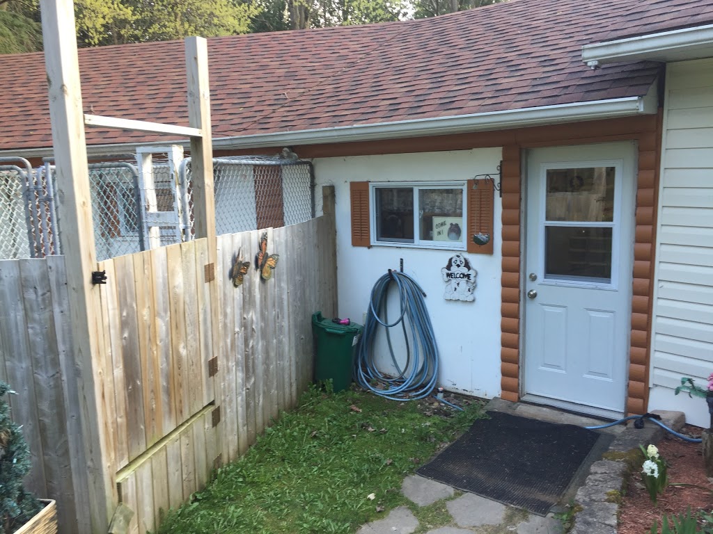 Dawg Dayz Inn | 5434 3 Line, Hillsburgh, ON N0B 1Z0, Canada | Phone: (519) 833-3294