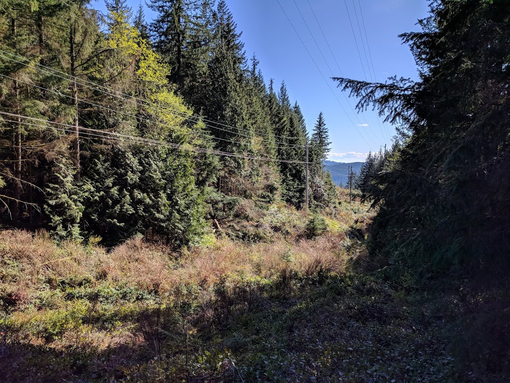 Bearclaw Trail | Unnamed Road, Anmore, BC V3H 4Z4, Canada