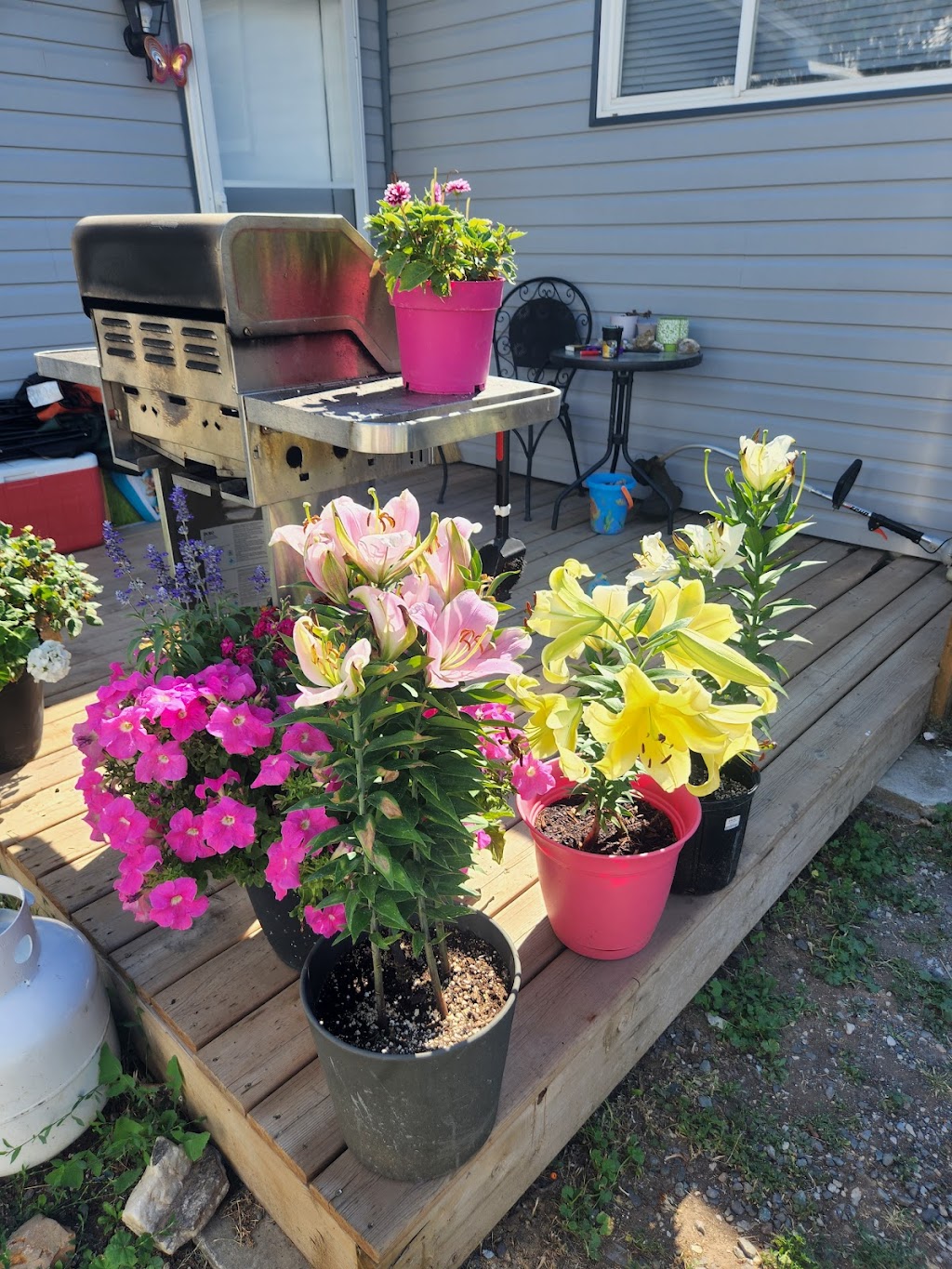 Sage & Sands Mobile Home Park | 701 Trans-Canada Hwy, Cache Creek, BC V0K 1H0, Canada | Phone: (250) 457-0261