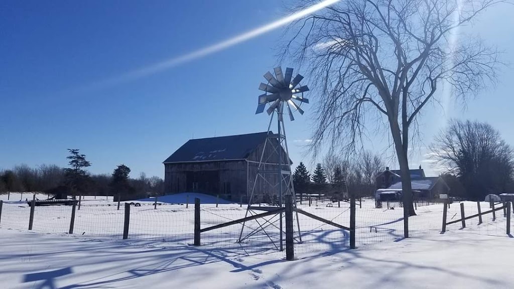 Lanesend Farm and Fiber | 3143 Hwy 7, Reaboro, ON K0L 2X0, Canada | Phone: (705) 324-9413