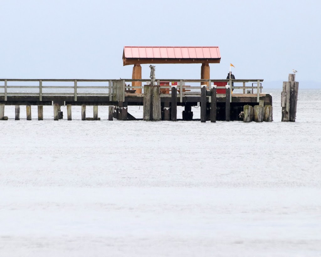 Davis Bay Park Public Dock | 4757 Sunshine Coast Hwy, Sechelt, BC V0N 3A2, Canada | Phone: (604) 885-1986
