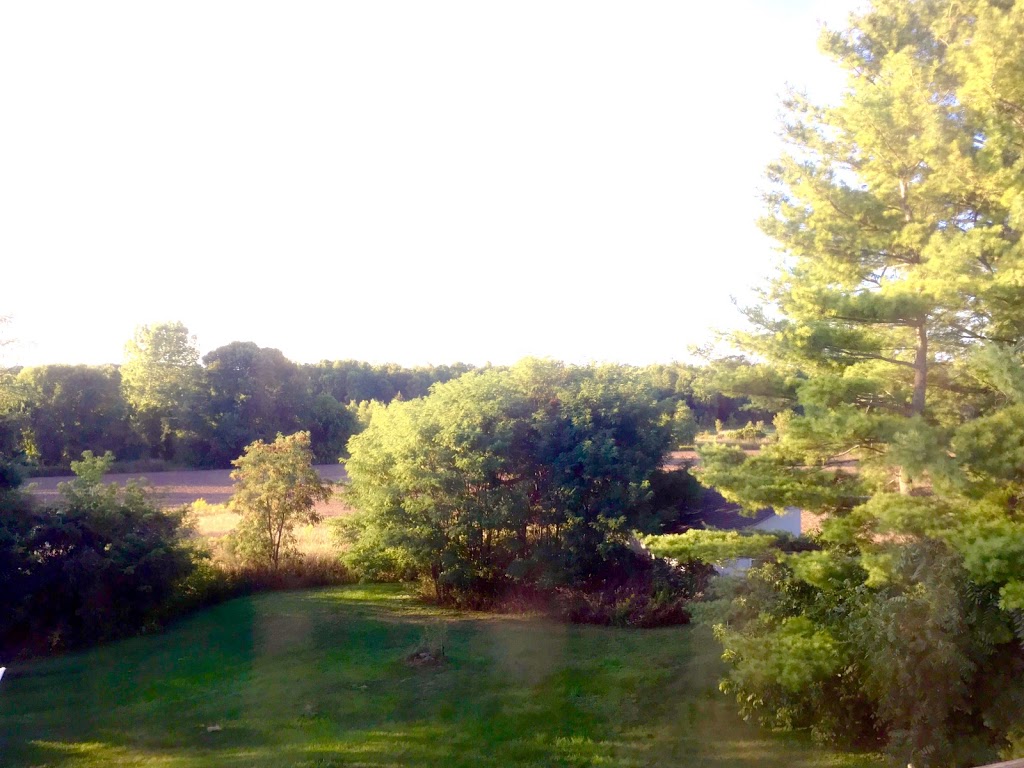 Our Family Guesthouse | 1033 Fish Lake Rd, Demorestville, ON K0K 1W0, Canada | Phone: (416) 930-0186