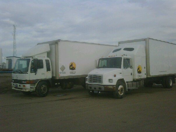 Wolf Transport Ltd | Box 2077, Rocky Mountain House, AB T4T 1B5, Canada | Phone: (780) 448-1816