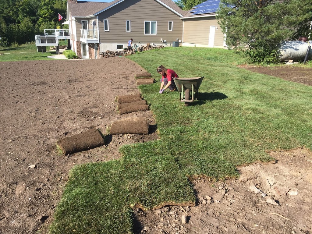 Red Rock Maintenance | 10 Beaver Point Rd, Coboconk, ON K0M 1K0, Canada | Phone: (705) 344-0958