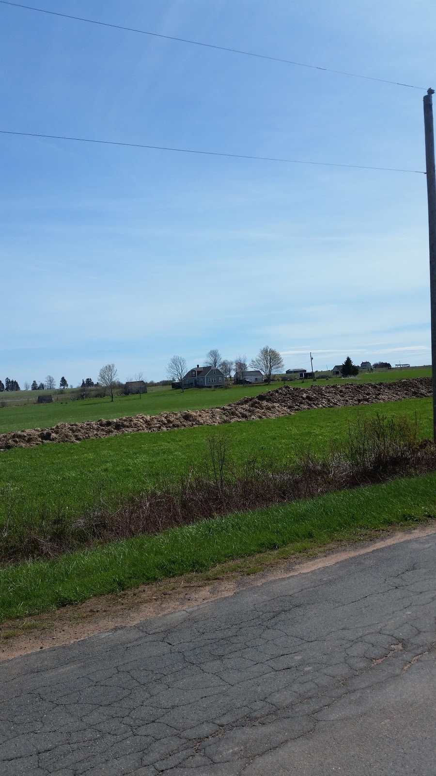 M & M Resources | Village Green Rd, Vernon Bridge, PE C0A 2E0, Canada | Phone: (902) 651-2564
