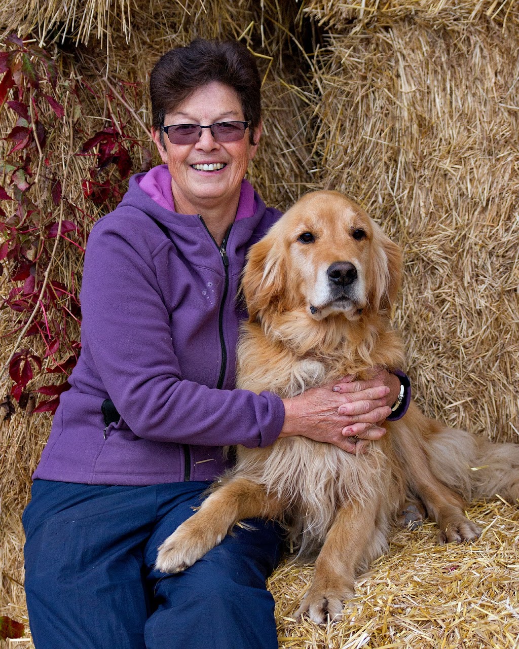 Mississippi Veterinary Services | 2809 County Rd No 29, Pakenham, ON K0A 2X0, Canada | Phone: (613) 624-5554
