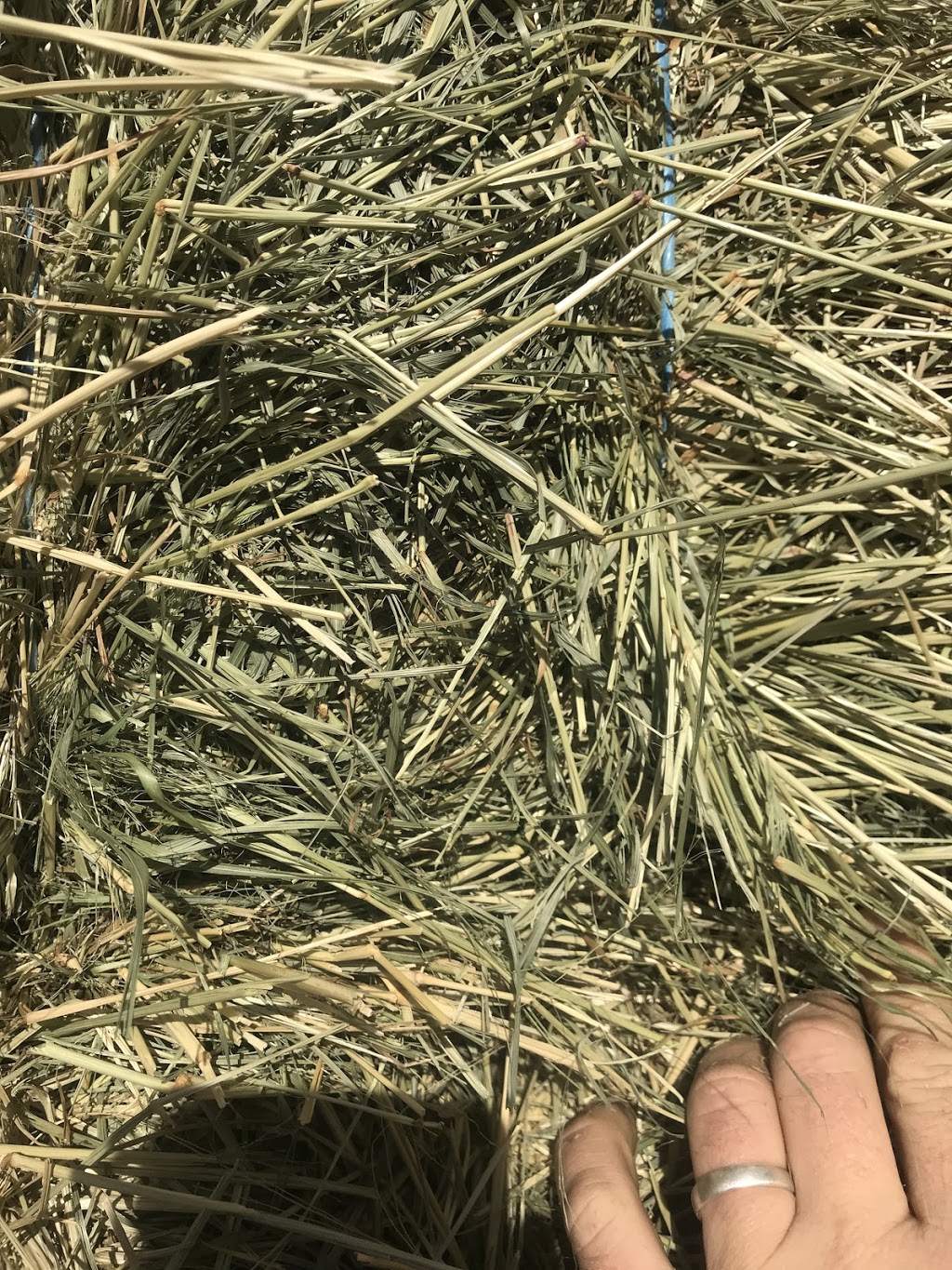 TNT Hay Sales | 40303 No 4 Rd, Abbotsford, BC V3G 2S2, Canada | Phone: (888) 802-3269