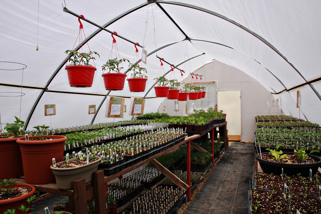 Golden Plains Greenhouse | 43 Hochstadt Dr, Kleefeld, MB R0A 0V0, Canada | Phone: (204) 377-4480