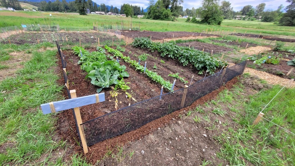 Community Roots Garden | 44825 Wolfe Rd, Chilliwack, BC V2P 8A8, Canada | Phone: (604) 701-4944