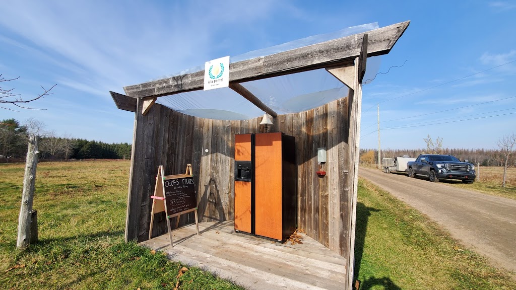 À lHERBE! bouvillons de pâturage | 701 Chemin du Bois de lAil, Pont-Rouge, QC G3H 2G8, Canada | Phone: (418) 285-7784