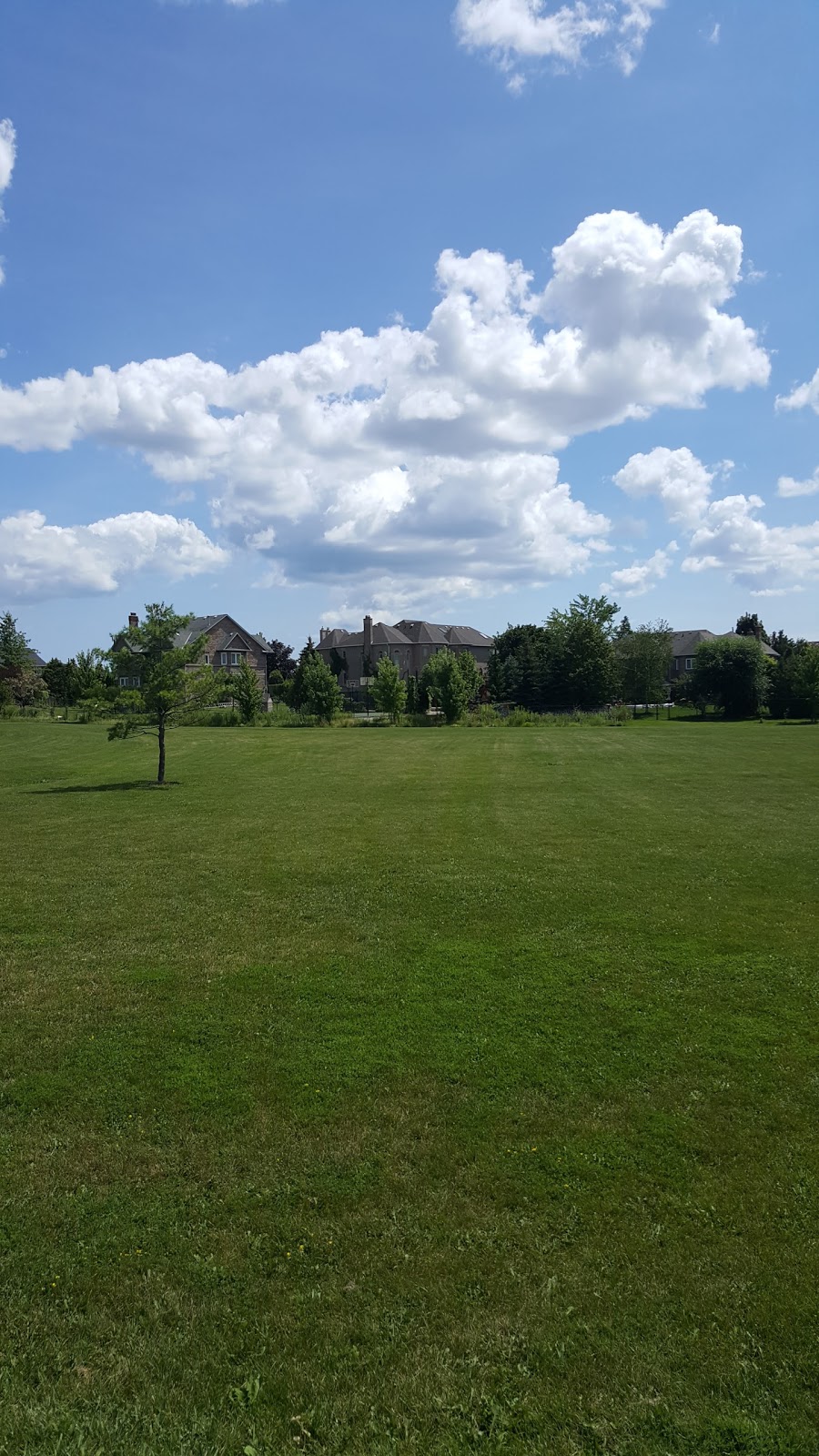 Forest Park | 6810 Forest Park Dr, Mississauga, ON L5N 6X6, Canada | Phone: (905) 785-6306