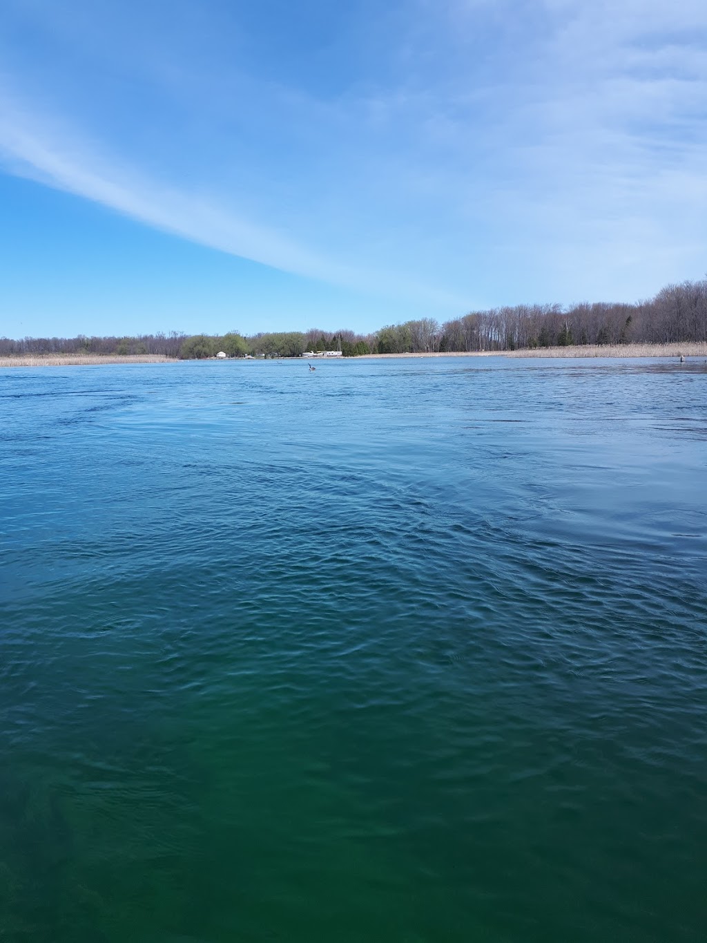 Blue Beacon Marina | 693 Atherley Rd, Orillia, ON L3V 1P4, Canada | Phone: (705) 325-2526