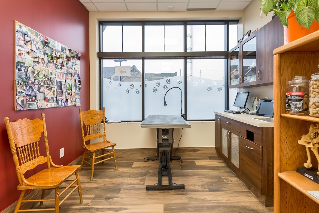 LeGallais Veterinary Hospital | 25 William Graham Dr Unit 5B, Aurora, ON L4G 3G3, Canada | Phone: (905) 713-2366