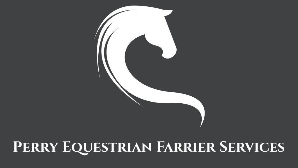 Perry Equestrian Farrier Services | 1558 Onslow Mountain Rd, Onslow Mountain, NS B6L 6R7, Canada | Phone: (902) 430-3234
