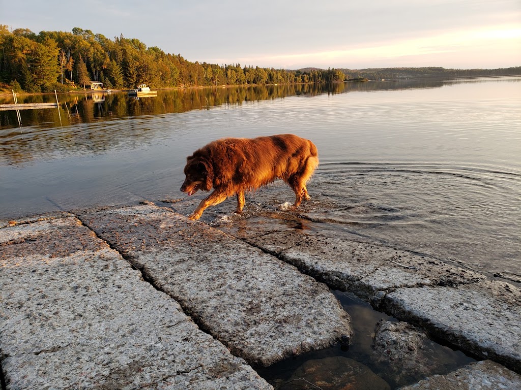 Sandhurst Resort | 40 Boat Ramp Rd, Kearney, ON P0A 1M0, Canada | Phone: (705) 636-7705
