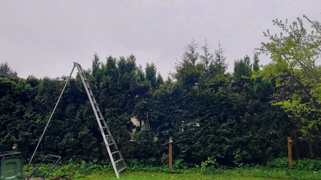 Michael Landscaping Ltd. | 4917 Dominion St, Burnaby, BC V5G 1C8, Canada | Phone: (604) 828-0291