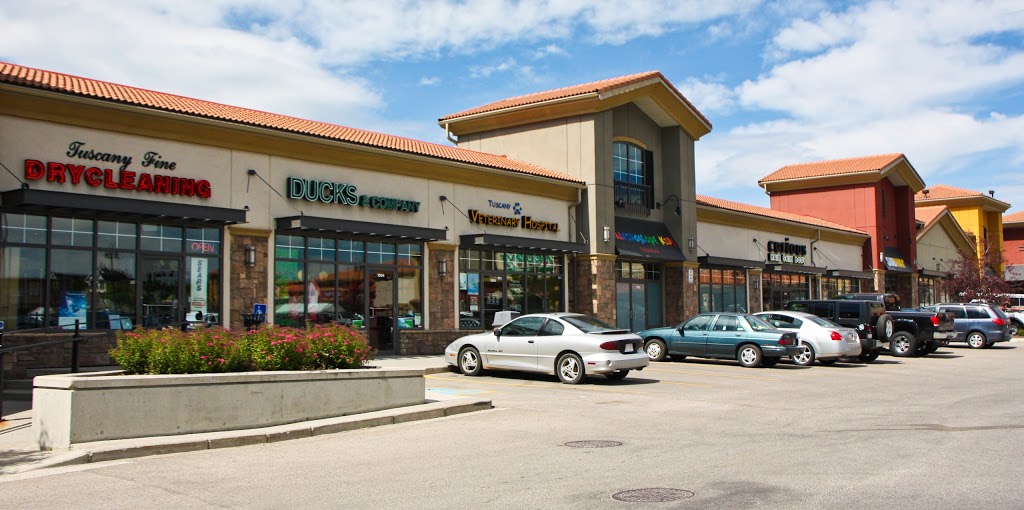 Curious Hair Skin Body | 11300 Tuscany Blvd NW, Calgary, AB T3L 2V7, Canada | Phone: (403) 208-2558