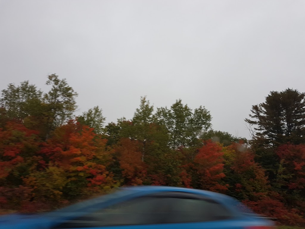 Rénovation Pro-H | 30 Chemin Guindon, Thurso, QC J0X 3B0, Canada | Phone: (819) 712-1578