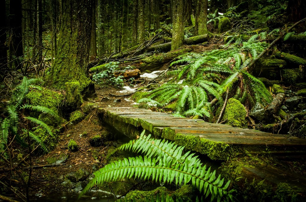 Cumberland Lake Park Campground | 1100 Comox Lake Rd, Cumberland, BC V0R 1S0, Canada | Phone: (250) 702-8833