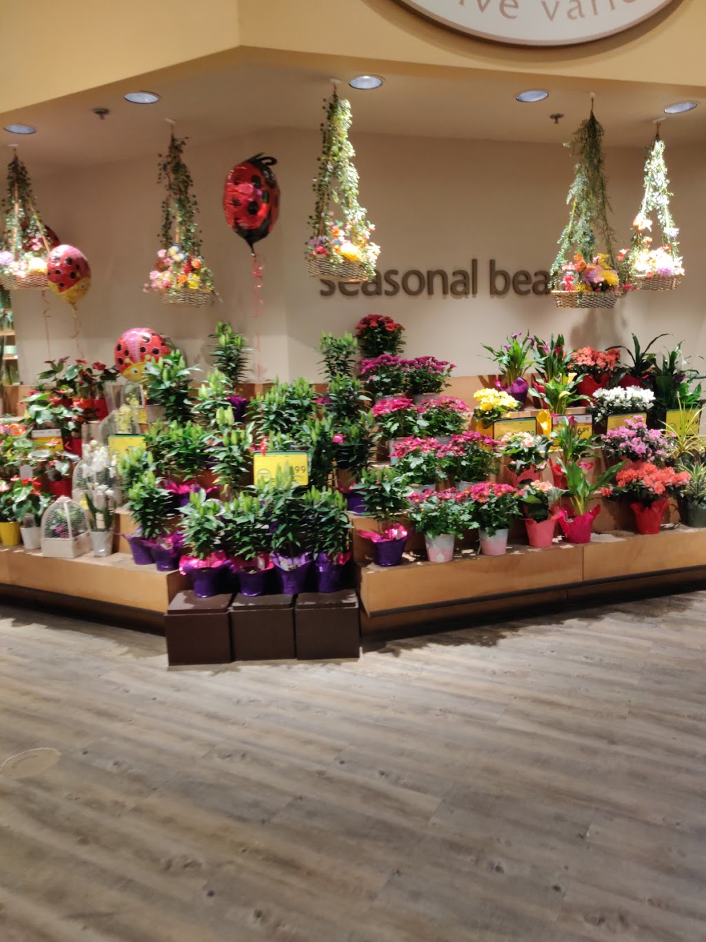 Safeway Bonnie Doon | 8330 82 Ave NW, Edmonton, AB T6C 0Y6, Canada | Phone: (780) 469-9464