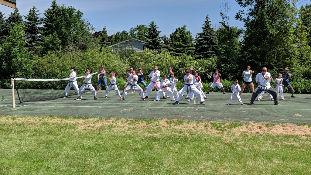 One Strike Buffalo Isshin Ryu Karate And Kobudo LLC | 3720 South Park Ave, Blasdell, NY 14219, USA | Phone: (716) 830-4708
