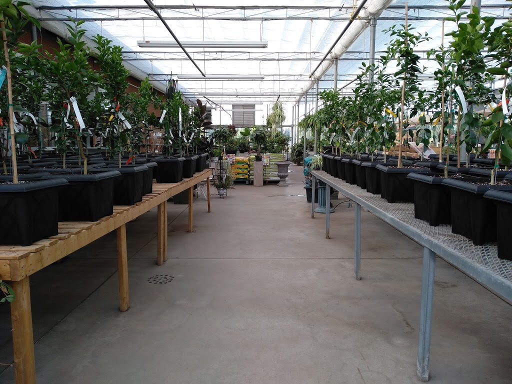 Four Seasons Garden Centre | 2160 Albion Rd, Etobicoke, ON M9W 6P4, Canada | Phone: (416) 675-1041