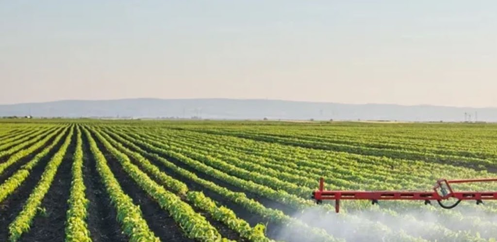 Here We Grow - Calgary Local Sourced Foods & Speciality Imports | 132, 250 Shawville Blvd SE #136, Calgary, AB T2Y 2Z7, Canada | Phone: (587) 998-9926